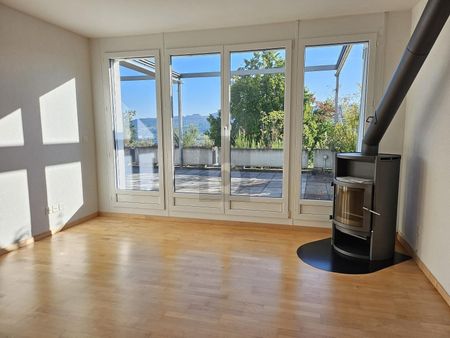 TRAUMHAFTE SICHT ÜBER DAS LIMMATTAL - Foto 3