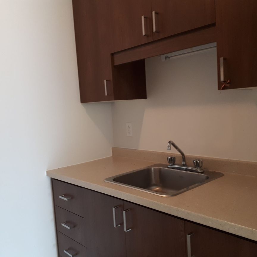 Le 443 Sainte-Anne, St-Hyacinthe - Photo 1