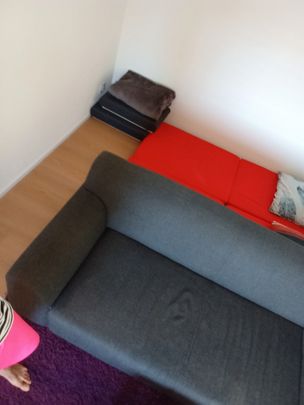 11/2 ROOM APARTMENT IN LUCERNE, FURNISHED, TEMPORARY - Foto 1