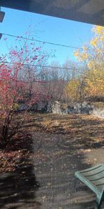 Chambre 1 1/2 acceptant 1 chat - Photo 3