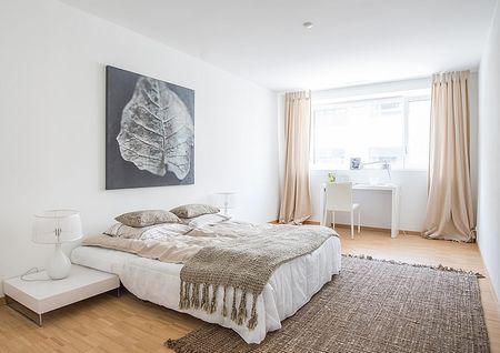 2.5 Zimmer, 60 m², 2. Stock - Photo 5