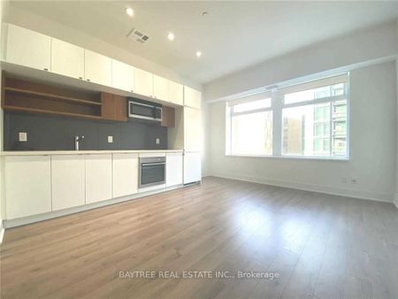 Imperial Plaza Lofts , #317 - Photo 5