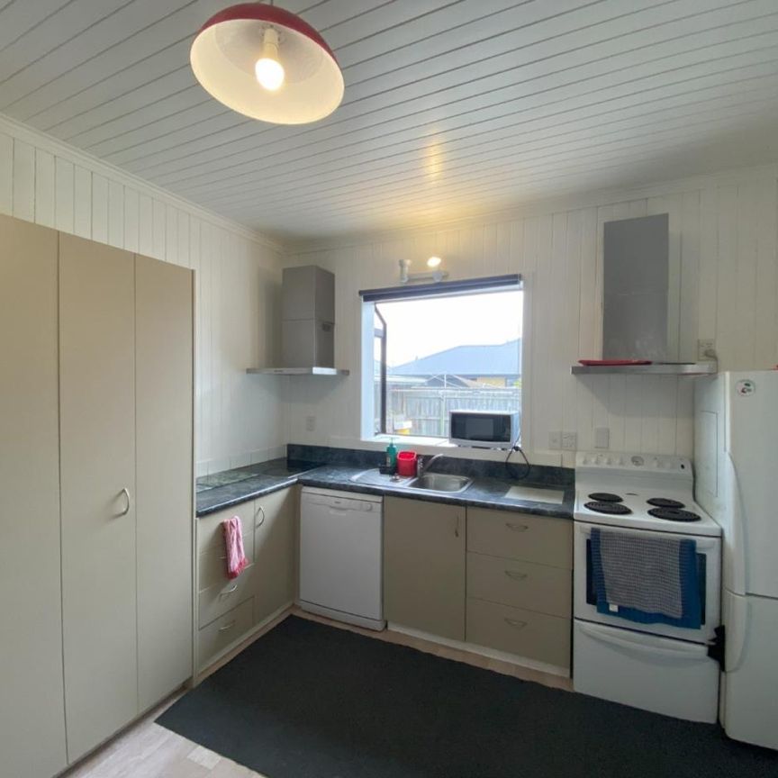 Close to Blenheim CBD - Photo 1