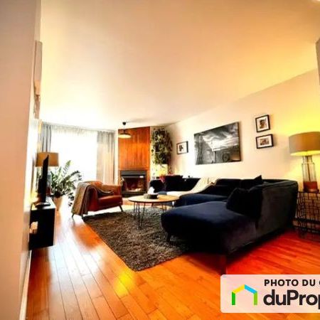 2450, Rue Marie-Anne, Le Plateau-Mont-Royal à louer - Photo 4