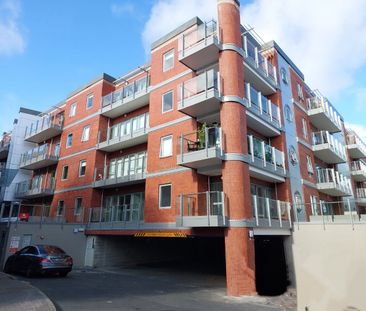 Live the Tremont Dream! - Photo 3