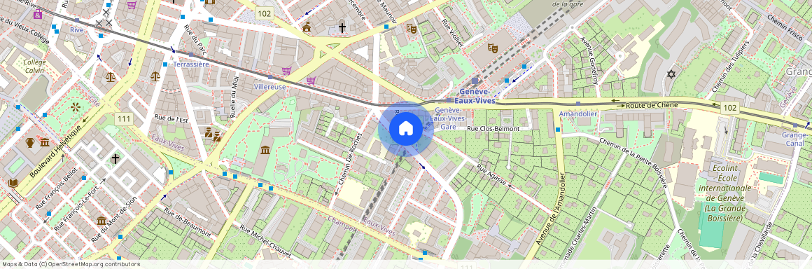 Avenue Théodore-Weber 7, Eaux-Vives