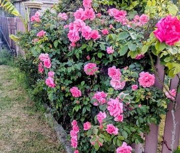 Room in a Shared House, Wembley, HA9 - Photo 5
