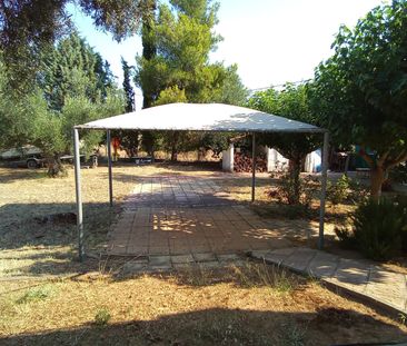 Μονοκατοικία για ενοικίαση Άγιος Μηνάς (Ανθηδώνος) - Photo 6