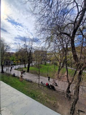 kawalerka, ul. Szewska, Stare Miasto - Zdjęcie 1