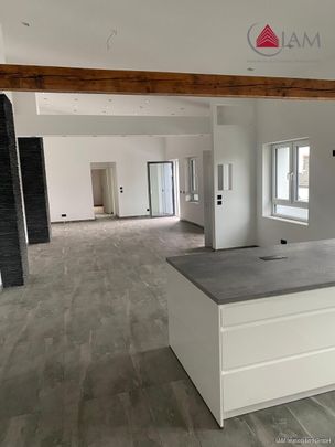 Exklusive Loft-Dachgeschosswohnung mit Balkon, Einbauküche und zwei Bädern in zentraler Hanauer Lage - Foto 1
