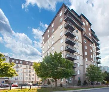 SUITE SPACIEUSE DE 3 1/2 À LOUER À GATINEAU!!! - Photo 4
