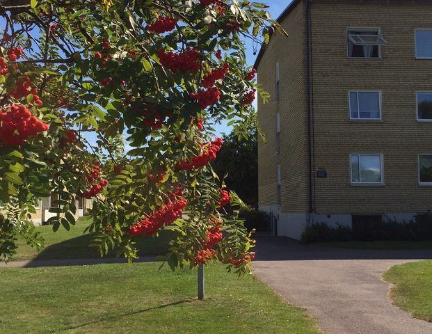 Trollbackevägen 22 - Foto 1