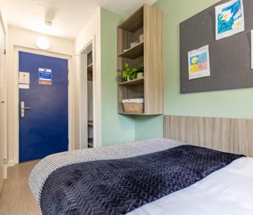 Classic Plus Ensuite - Photo 5