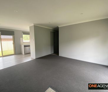 Freshly Updated Home on a Spacious Corner Block! - Photo 6