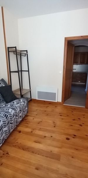 Location Appartement 1 pièce 21m² BRIOUDE 43100 - Photo 1