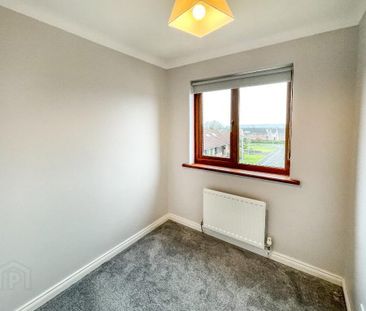 118 Glenwood Court, Lisburn, BT28 3WD - Photo 5
