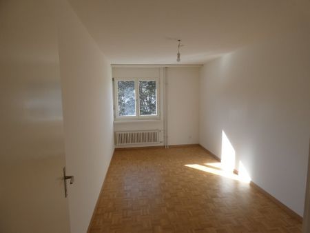 3 ½ Zimmer-Wohnung in Regensdorf mieten - Photo 3