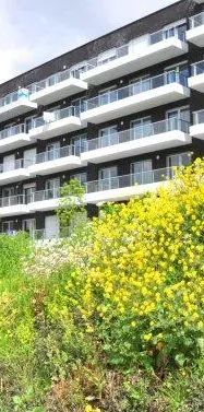 Appartement à louer 2 pièces 48.47m² - Photo 1