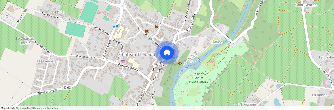 Loire-Atlantique, 44, 44690, Chateau Thebaud