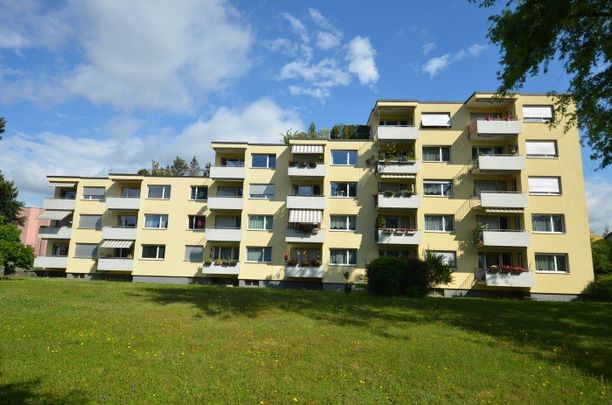 Gepflegte 1-Zimmerwohnung in Dübendorf zu vermieten - Photo 1