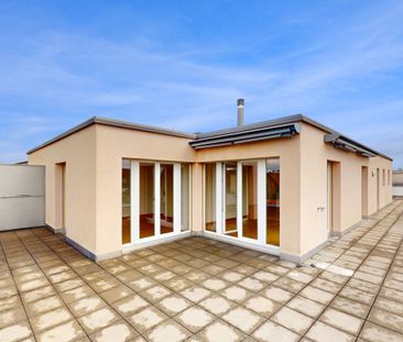 Attikawohnung mit grosser Terrasse im Grünen - Foto 1