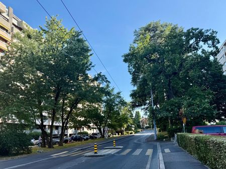 Spacious 2-bedroom fully furnished apartment in Petit-Saconnex - Photo 5