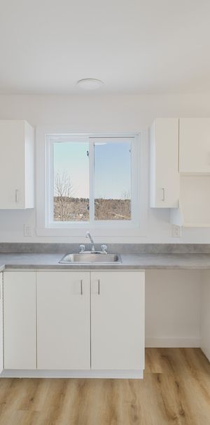 MAGNIFIQUE 4½ | FLEURIMONT | RÉNOVÉ - Photo 1