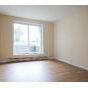 Jardin sur la Rive | 4 1/2 Neuf à Louer | 2 bedrooms for Rent | Pointe-Aux-Tremble - Photo 3