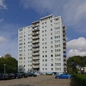 Wezelrade, 2544 Den Haag, Nederland - Foto 2
