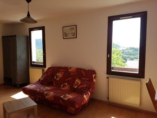 Location Appartement 1 pièce 30m² PRIVAS 07000 - Photo 1