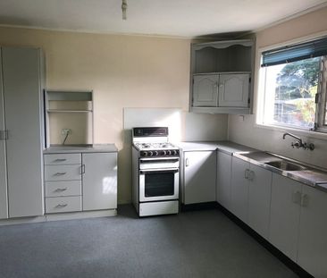 Spacious Family Home in Slacks Creek - Photo 3