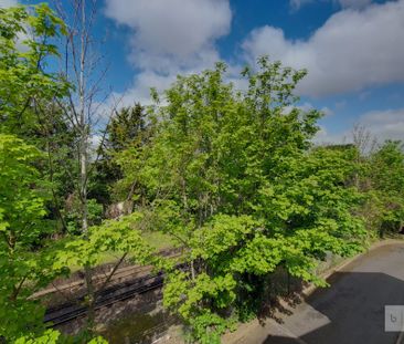Birchend Close - Photo 4