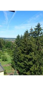 - 2 - Raumwohnung in Freital - Photo 3