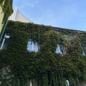 Helle Zwei-Zimmerwohnung im Biedermeier-Stil Nähe Schönbrunn - Foto 2