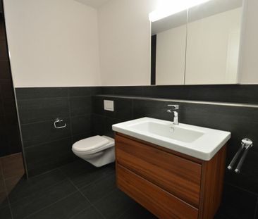 Wohnpark "untere Grüneck" in 8555 Müllheim - Photo 5