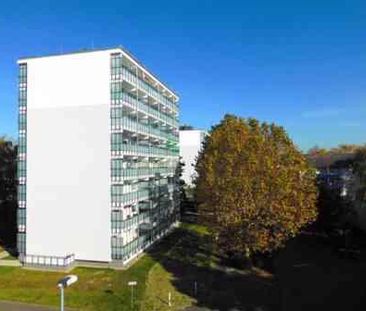 Perfekt für uns: bezugsfertige 3-Zimmer-Wohnung - Foto 2