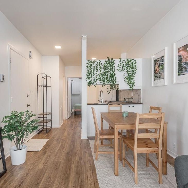 Appartement à louer - Montréal (Ville-Marie) (Centre) - Photo 1
