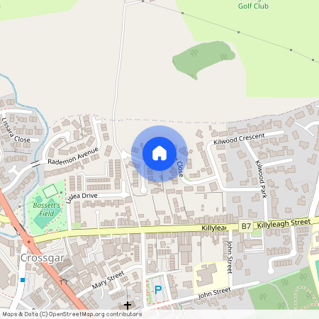 30 Rannoche Close, Crossgar, BT30 9DU