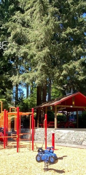 900 Berkley Road - Photo 1