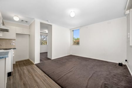 3/8 Marryville Street, Ripponlea - Photo 4