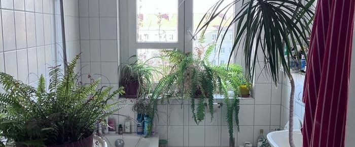 WG-Zimmer Wohnung zur Untermiete - Foto 1