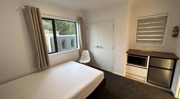 Highlight on Hibiscus - Photo 1