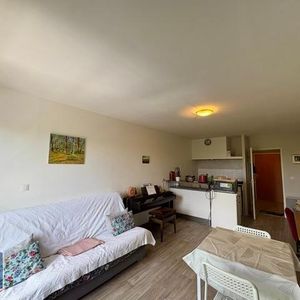 Location Appartement 1 pièce 29m² TOURS 37000 - Photo 2