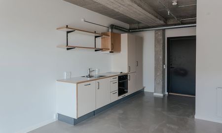 Lyst studio med plads til det hele - Photo 4