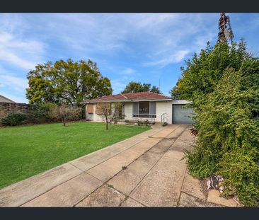 8 Pike Street, Gunnedah, NSW 2380 - Photo 5