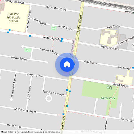 170 Hector Street, NSW 2162, Chester Hill