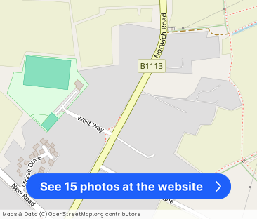 Norwich Road, Tacolneston, NORWICH - Photo 1