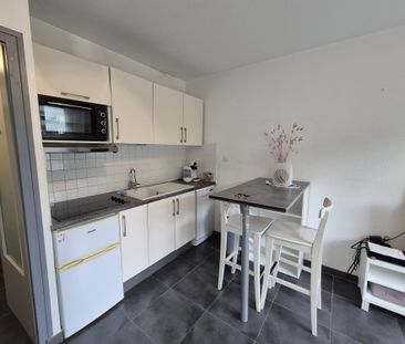 Location Appartement 1 pièce 21m² ST JULIEN EN GENEVOIS 74160 - Photo 3