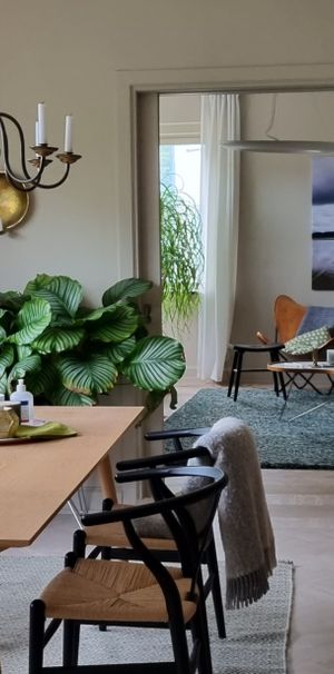 4 rum och kök på Davidshal - Photo 1