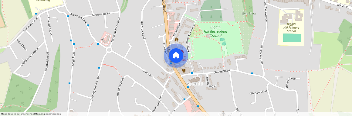 Maple Leaf Close, Biggin Hill, Westerham, TN16